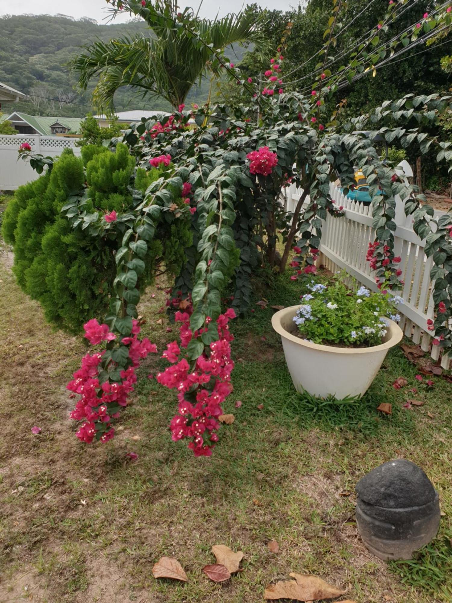 经典别墅酒店 拉迪格岛 外观 照片